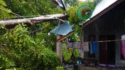 Rumah terdampak pohon tumbang akibat angin kencang di Kab. Padang Pariaman, Jumat (24/10).