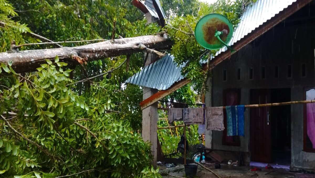 Rumah terdampak pohon tumbang akibat angin kencang di Kab. Padang Pariaman, Jumat (24/10).