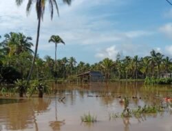 Update BNPB: Banjir Semarang, Longsor Bandung Barat, dan Erupsi Lewotobi Landa Indonesia