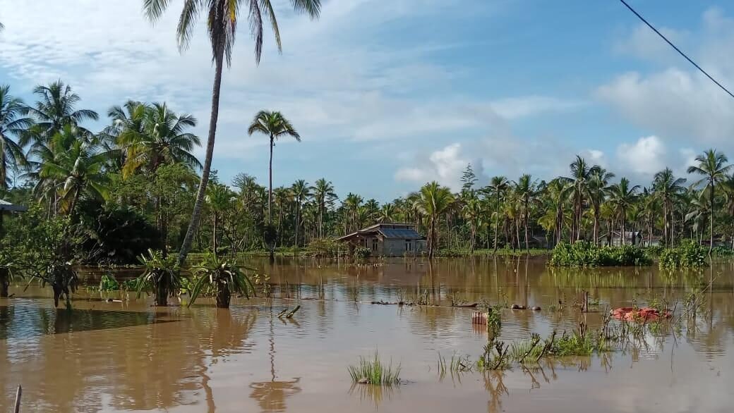 Rumah warga terendam banjir pasca hujan dengan intensitas tinggi menerjang Kabupaten Halmahera Selatan, Provinsi Maluku Utara, pada Jumat (24/10). Sumber Foto: BPBD Halmahera Selatan