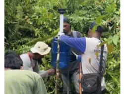 Tingkatkan Monitoring, Yayasan Palung Pasang Kamera Jebak di Hutan Desa Kayong Utara
