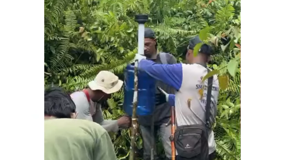 Tim Yayasan Palung dan LPHD memasang kamera jebak di sebatang pohon dalam kawasan Hutan Desa di Kayong Utara untuk memantau satwa liar. (Dok. Instagram/ @yayasan_ Palung)