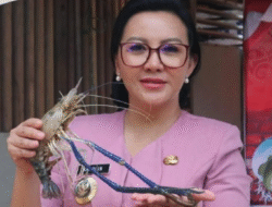 Bupati Karolin Panen Udang Galah, Ajak Komunitas Pemancing Lawan Ilegal Fishing