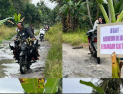 Jalan Rusak di Sambas: Warga Seranggam Protes Tanam Pohon Pisang