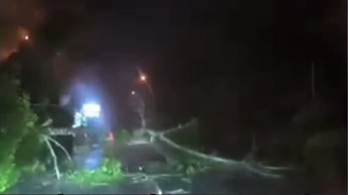 Sebuah pohon besar tumbang melintang menutupi badan Jalan Arteri Supadio (Ayani 2) di Kubu Raya pada malam hari, menyebabkan kemacetan. (Dok. Ist)