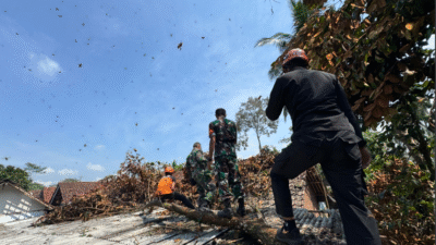 Tim gabungan yang terdiri dari petugas BPBD dan aparat desa sedang bekerja sama dengan warga terdampak untuk membersihkan sisa-sisa material bangunan yang rusak akibat diterjang angin kencang dan hujan deras. (Dok. HO/Faktakalbar.id)