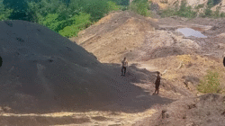 Area hutan lindung Bukit Tengkorak di Desa Sukomulyo, Kabupaten Penajam Paser Utara, Kalimantan Timur, tampak rusak akibat aktivitas. Senin (29/09/25). (Dok. Humas Otorita IKN)