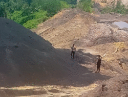 Satgas Otorita IKN Bongkar Praktik Tambang Ilegal di Kawasan Tahura
