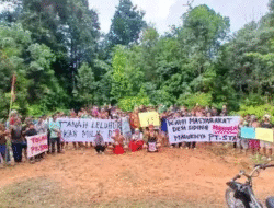 Selamatkan Hutan Adat, Ratusan Warga Siding Tolak Keras Tambang PT STAR