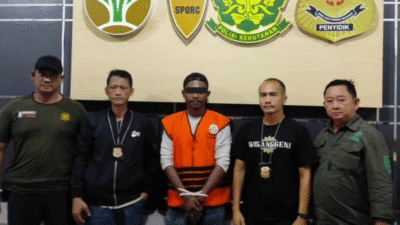 Pelarian Berakhir, Buronan Ilegal Logging Kayu Ulin Dibekuk di Pontianak