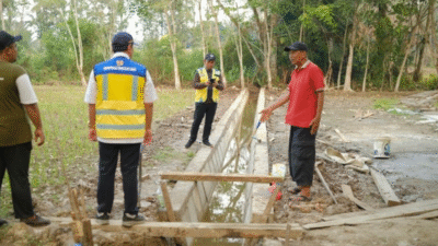 Irigasi Lancar Berkat P3-TGAI, Petani Sekadau Sumringah Panen Melimpah