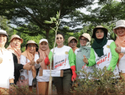 Kado HUT ke-24, Ribuan Pohon Hiasi Wajah Baru Kota Singkawang
