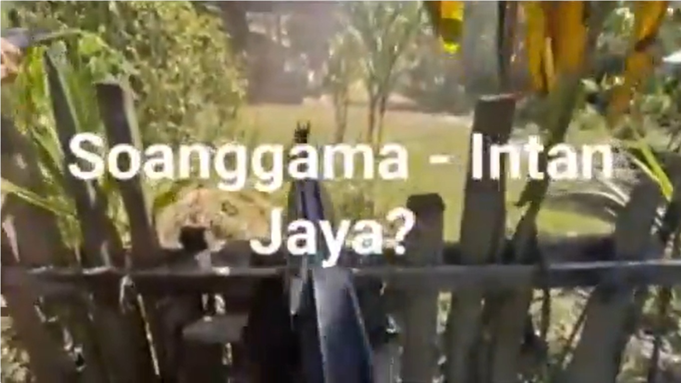 Kontak tembak terjadi saat pasukan TNI diserang oleh kelompok OPM. (Dok. Ist)