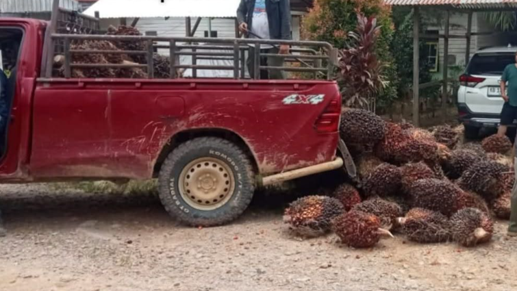 Mobil barang bukti kasus dugaan pencurian sawit oleh mantan kades di Landak yang diamankan di Polres Landak. (Dok. Ist)