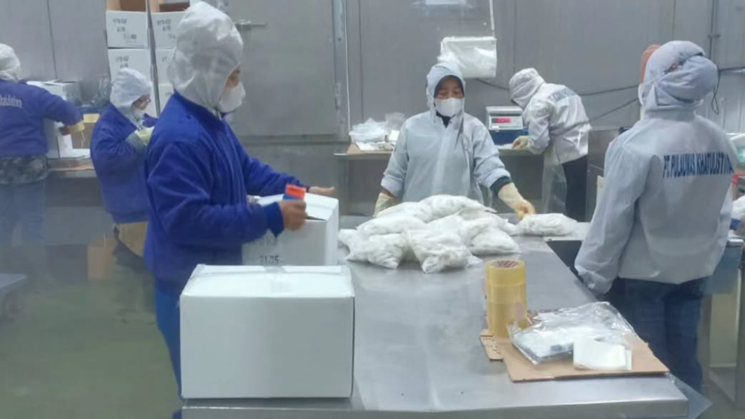 Tim DKP Kalbar saat melakukan verifikasi Pra-SKP di fasilitas Unit Pengolahan Ikan (UPI) PT. Pulaumas Khatulistiwa, Pontianak Utara. (Dok. Instagram/@dkp.prov.kalbar)