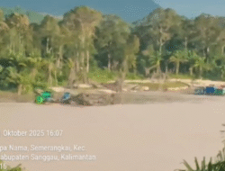 PETI Semerangkai Kebal Hukum, Polres Sanggau Harus Tangkap Pelaku Utama Jika Tak Mau Dituding Membekingi