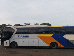 DAMRI Buka Rute Baru Pontianak-Palangkaraya Tanpa Transit, Cek Jadwal dan Tarifnya