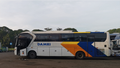 Ilustrasi bus DAMRI kelas Executive yang melayani rute baru Pontianak-Palangkaraya tanpa transit. (Dok. Ilustrasi/Faktakalbar.id)
