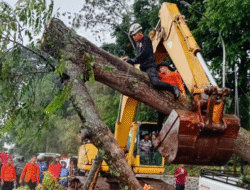 Angin Kencang Subang: 2 Orang Meninggal Dunia, BNPB Rilis Data