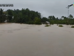 Empat Kecamatan di Ketapang Terdampak Banjir, BPBD Buka Layanan Aduan
