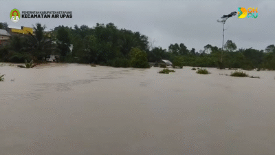 banjir merendam permukiman warga di salah satu lokasi di Kabupaten Ketapang. (Dok. BPBD Ketapang)