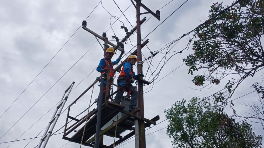 Dua petugas PLN sedang melakukan perbaikan jaringan listrik di tiang trafo untuk mengatasi tegangan rendah di Desa Sungai Bakau. (Dok. Ist)