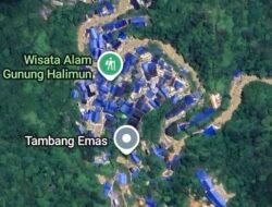 3 Dekade Digerogoti Gurandil: 250 Tenda Tambang Ilegal di Halimun Salak Terungkap Satelit, Ekosistem Terancam