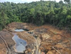 Ribuan Hektare Rusak Parah, Otorita IKN Baru Sebatas Pasang Plang Larangan?