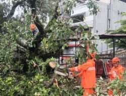 Angin Kencang dan Banjir Landa Sejumlah Wilayah, BNPB Rilis Update Penanganan Bencana Terkini