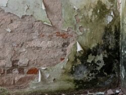 Panduan 5 Langkah Cara Mengatasi Tembok Lembap dan Cat Mengelupas Hingga Tuntas