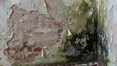 5 Cara Mengatasi Tembok Lembap dan Cat Mengelupas