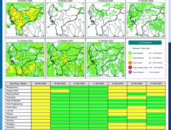 Waspada Cuaca Ekstrem! BMKG Prediksi Hujan Disertai Petir Guyur Kalbar Hari Ini, 8 Oktober 2025