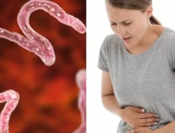 Awas! Ini Bahaya Mengabaikan Obat Cacing meski Sudah Dewasa