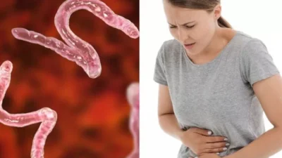 "Jangan anggap remeh! Mengabaikan minum obat cacing bisa berakibat fatal bagi orang dewasa. Kenali bahaya dan gejala cacingan pada orang dewasa di sini."