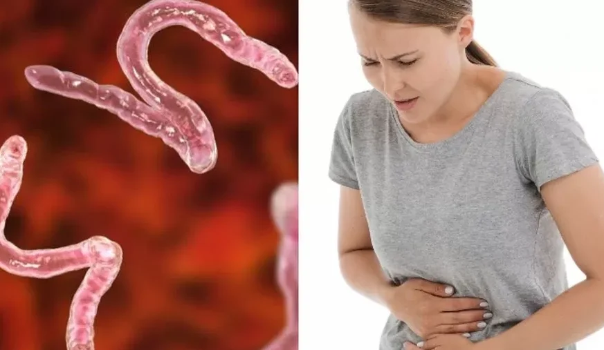"Jangan anggap remeh! Mengabaikan minum obat cacing bisa berakibat fatal bagi orang dewasa. Kenali bahaya dan gejala cacingan pada orang dewasa di sini."