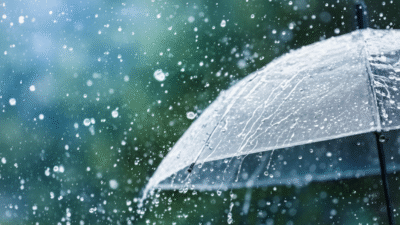 Simfoni Rintik Hujan: 4 Alasan untuk Jatuh Cinta pada Musim Penghujan