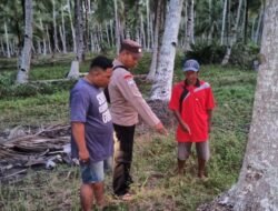 Bayi Baru Lahir Ditemukan Terbungkus Kain di Bawah Pohon Kelapa Kubu Raya