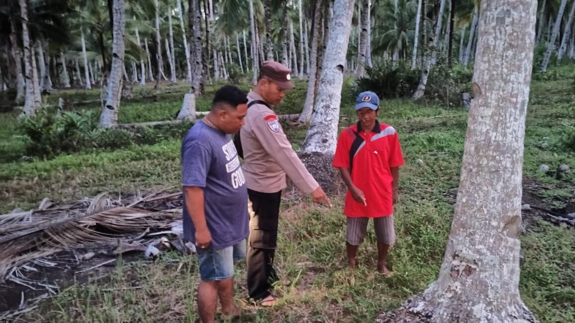 Petugas kepolisian melakukan olah tempat kejadian perkara (TKP) di area perkebunan kelapa Desa Padang Tikar, Kubu Raya, tempat ditemukannya seorang bayi laki-laki.