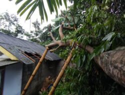 Angin Kencang Picu Bencana di Tiga Kabupaten Jatim dan OKU Sumatera Selatan