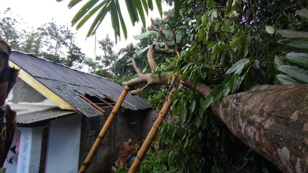 petugas-bencana-bersihkan-material-pohon-tumbang