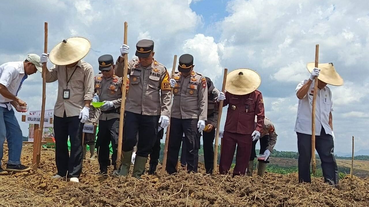 Kapolres Sanggau, AKBP Sudarsono, bersama jajaran Forkopimda dan masyarakat saat melaksanakan penanaman jagung secara simbolis di Desa Kelompu, Kembayan, sebagai bagian dari Gerakan Nasional Swasembada Pangan.