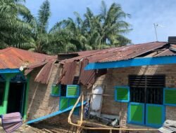 Update Bencana Nasional: Puting Beliung dan Karhutla Landa Tiga Provinsi dalam Sepekan