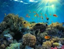 Awas Bahaya! Jangan Lakukan 4 Hal Terlarang Ini Selama Liburan di Pantai