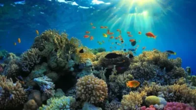 "Ingin liburan aman? Ketahui 4 hal fatal yang tidak boleh kamu lakukan di pantai, mulai dari mengabaikan rambu bahaya hingga merusak terumbu karang."