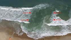 "Masih percaya kalau air kencing obat sengatan ubur-ubur? Simak 5 mitos soal laut yang sering dipercaya tapi ternyata salah besar menurut sains."