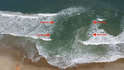 "Masih percaya kalau air kencing obat sengatan ubur-ubur? Simak 5 mitos soal laut yang sering dipercaya tapi ternyata salah besar menurut sains."