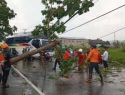 Update Bencana BNPB: Cuaca Ekstrem Landa 5 Daerah, Banjir dan Kekeringan Terjadi Bersamaan