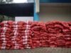 Bea Cukai Gagalkan Penyelundupan Bawang Bombai 30,7 Ton di Pontianak