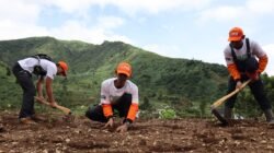 Beberapa relawan dari warga setempat melakukan penanaman bibit pohon sebagai upaya mitigasi vegetasi di wilayah Desa Mlandi, Kecamatan Garung, Kabupaten Wonosobo, pada Jumat (21/11).