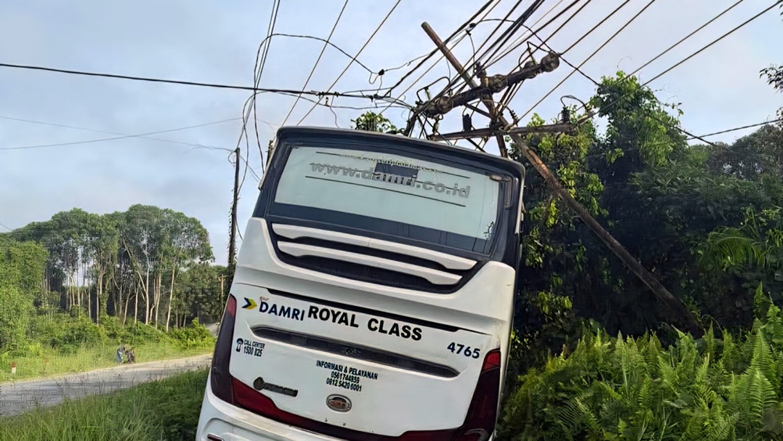 Kondisi Bus Damri Royal Class yang terperosok ke parit dan menabrak tiang listrik di Pal-10, Sungai Tebelian, Sintang, Minggu (9/11/2025) dini hari.